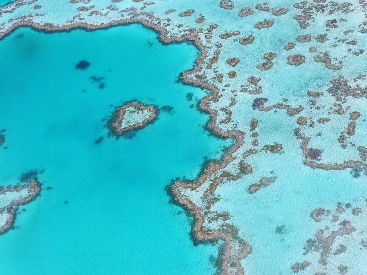 heart reef, australia, great barrier reef, australia, australia, australia, great barrier reef, great barrier reef, great barrier reef, great barrier reef, great barrier reef