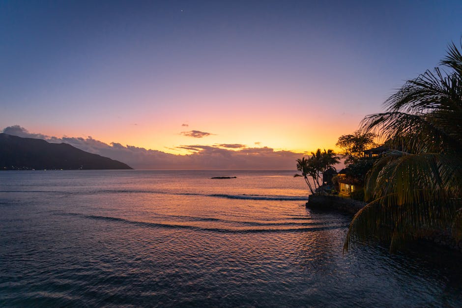 Serene sunset view over the Indian Ocean in Seychelles with palm trees and mountains.