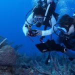 MSC Foundation Coral Reef report