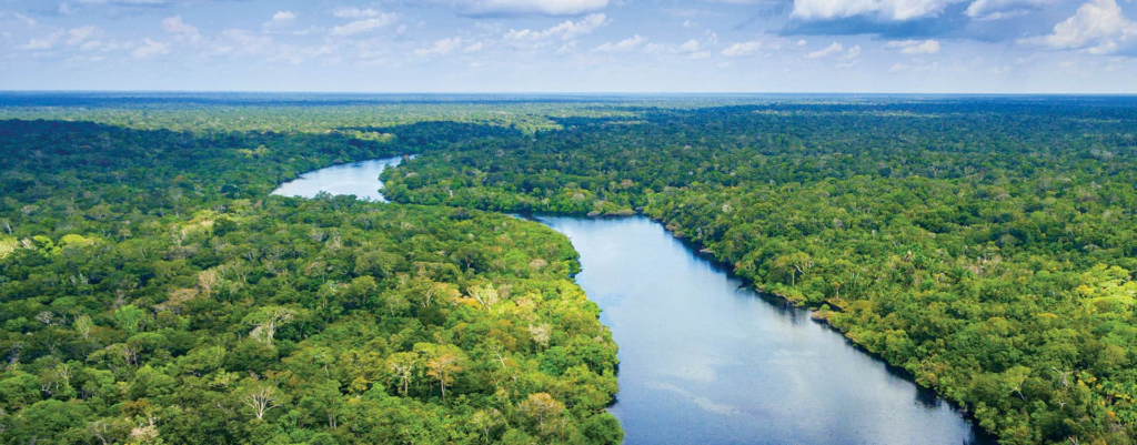 Seabourn's Amazon Explorer: Rivers & Rainforests