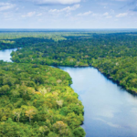 Seabourn's Amazon Explorer: Rivers & Rainforests