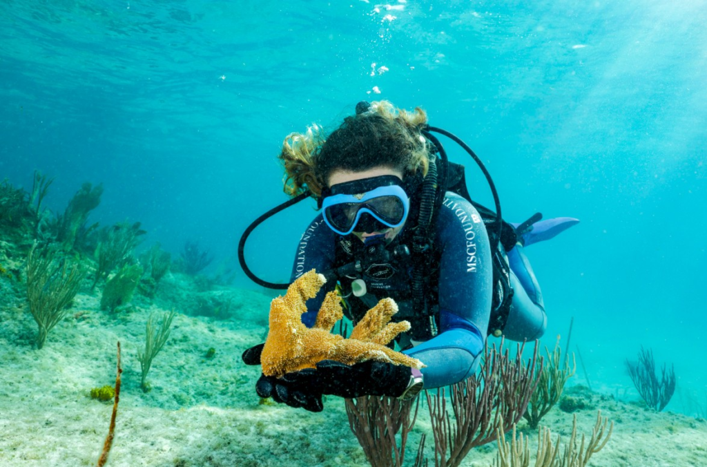 MSC Foundation Backs Global Coral Reef Assessment