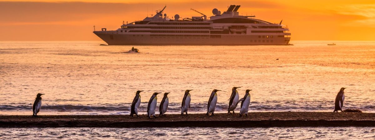 ponant 33 manchots royaux golden hour st andrews géorgie du sud©studio ponant olivier blaud 10